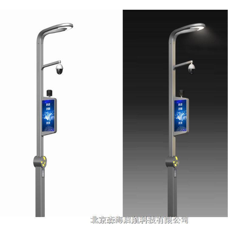 智慧路燈  北京智慧路燈廠家 長期供應各種室外道路照明燈具