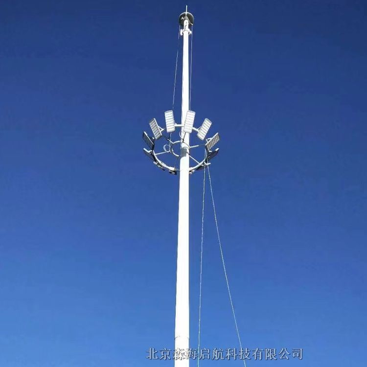 LED路燈工廠直銷(xiāo) 12米市政路燈工程安裝案例