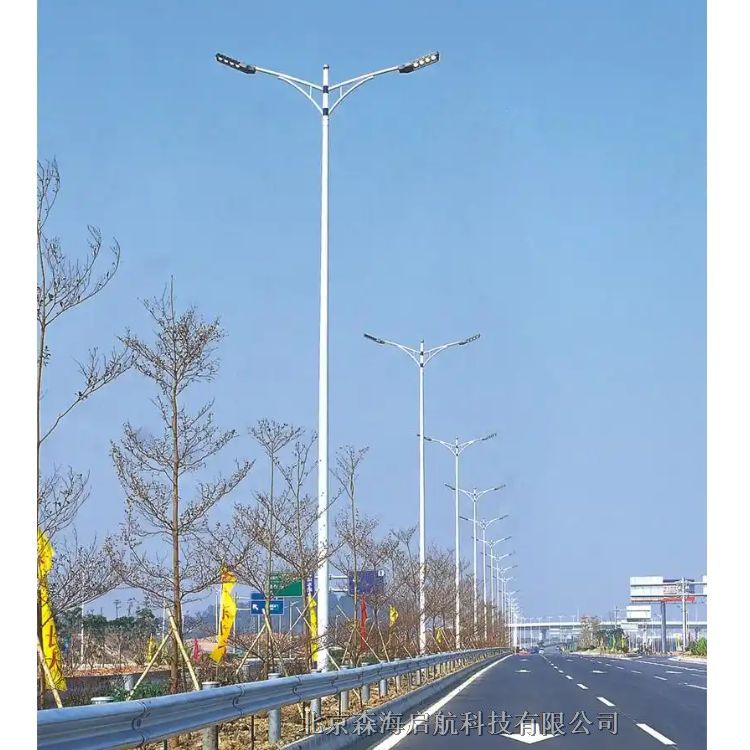 8米市政路燈工程 供應(yīng)路燈廠(chǎng)價(jià)格